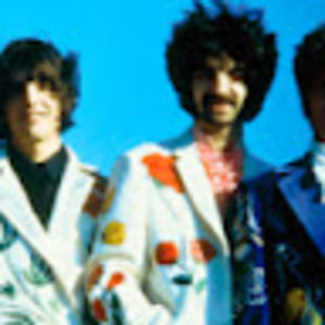 Meet your Posher, Abigail